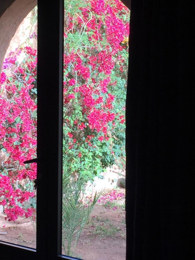 Riad Dar Bergui Ouarzazate Exteriör bild